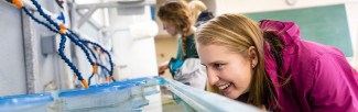 A woman in a pink jacket closely observing what appears to be an experimental setup or aquatic display. 