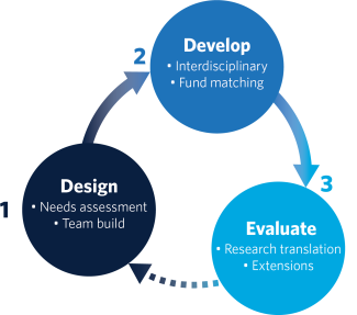 Three blue circles: Design; Develop; Evaluate